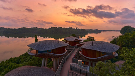 Banyan Group Celebrates 30th Year with Record Openings