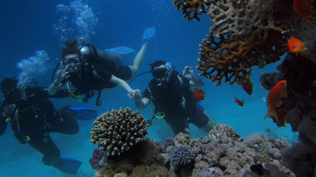 The 2026 Global Adventure Travel Roadmap: Navigating Extreme Expeditions and Sustainable Marine Encounters