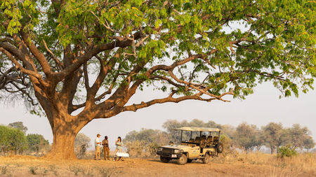 Puku Ridge: The Glory of the Green Season
