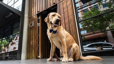 QT Melbourne Welcomes New Well-Being 