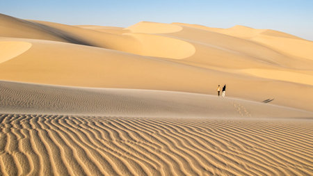 A Silent Safari Experience at Namibia’s Shipwreck Lodge  